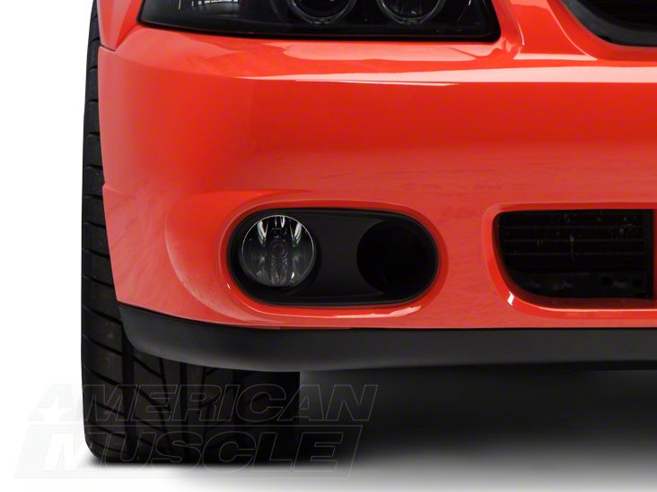 Raxiom Driver or Passenger Side 49337