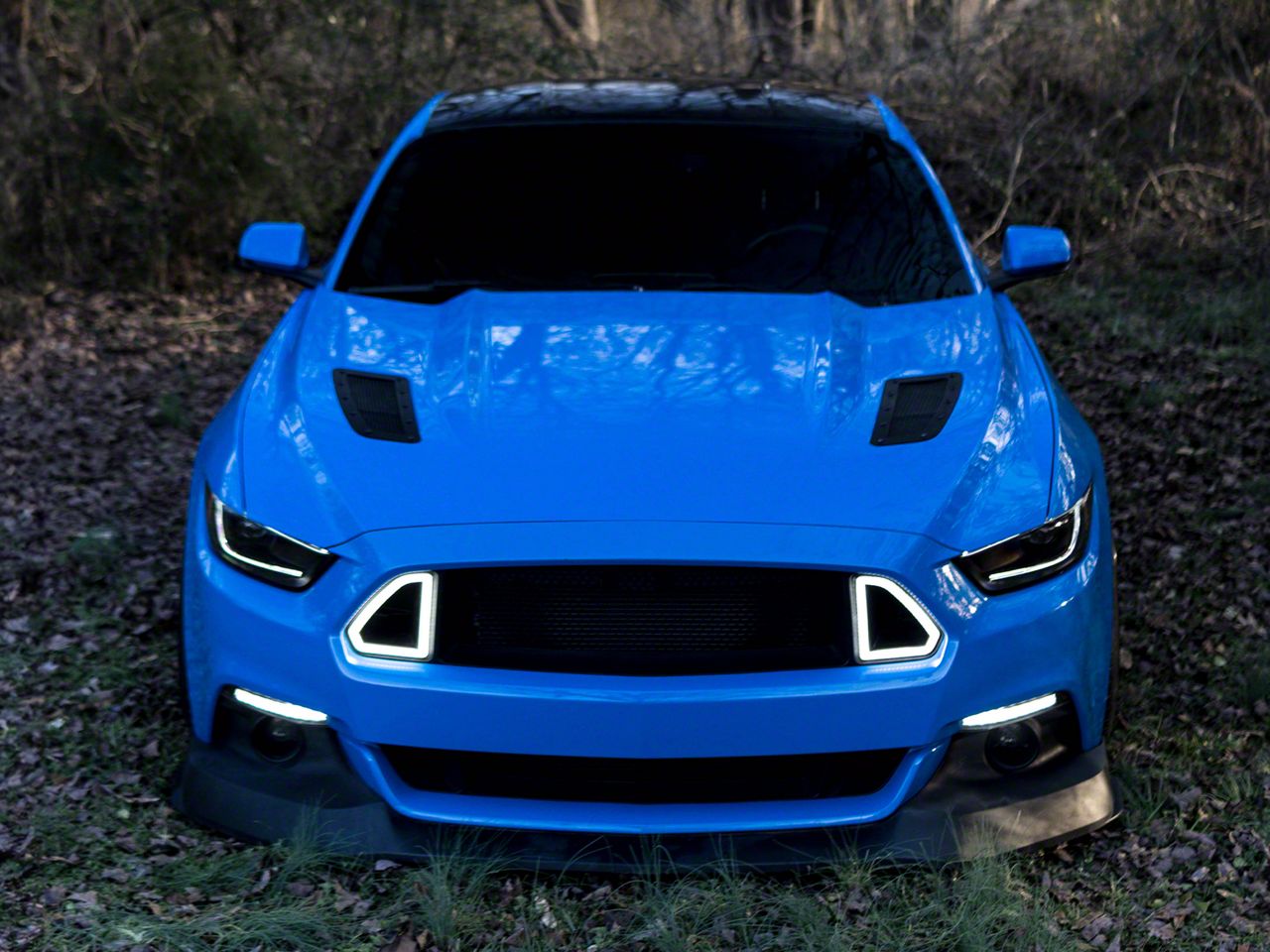 Raxiom Smoked Lens 406011