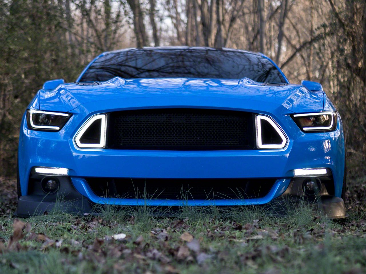 Raxiom Smoked Lens 406011