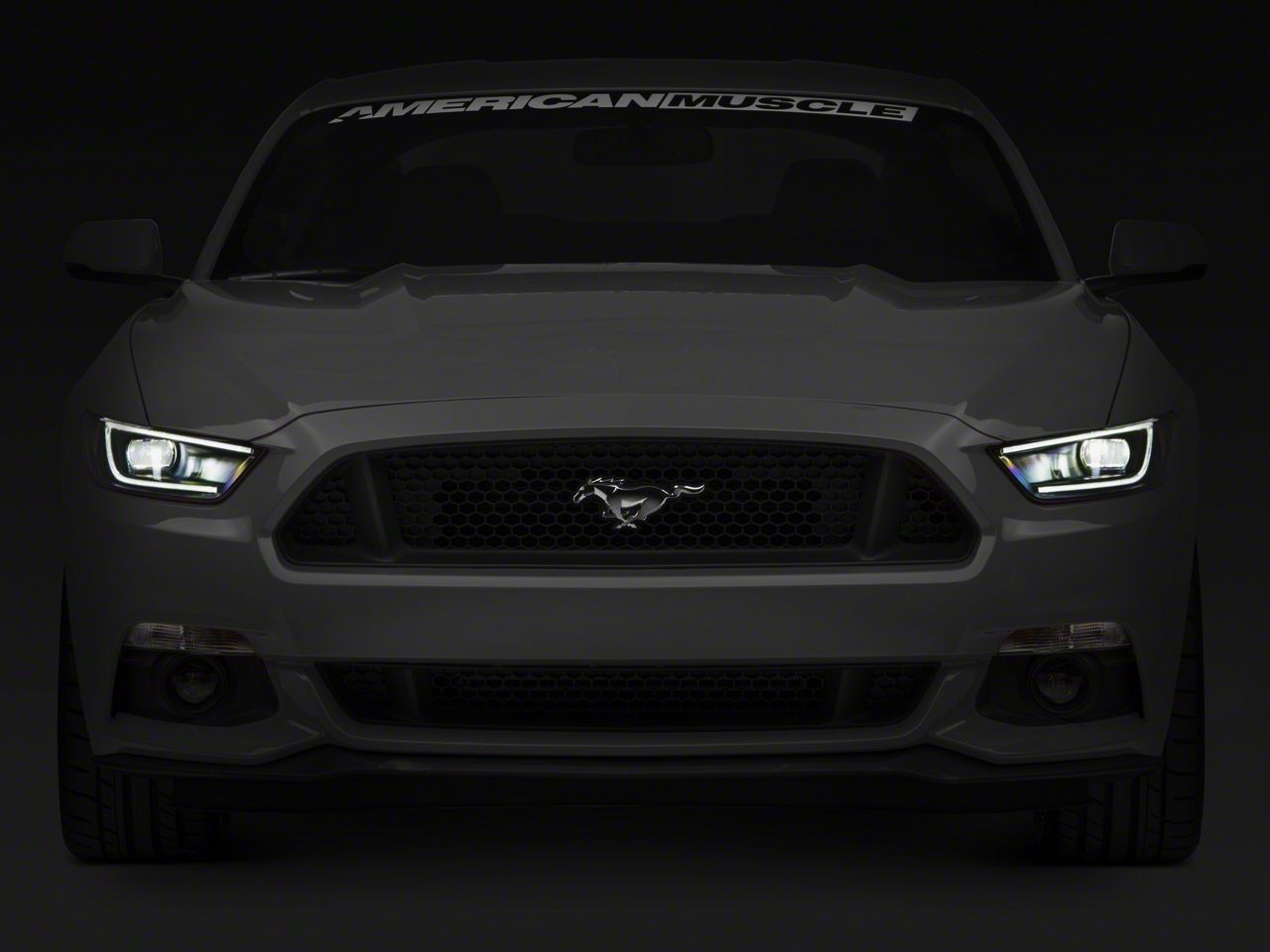 Raxiom Smoked Lens 406011