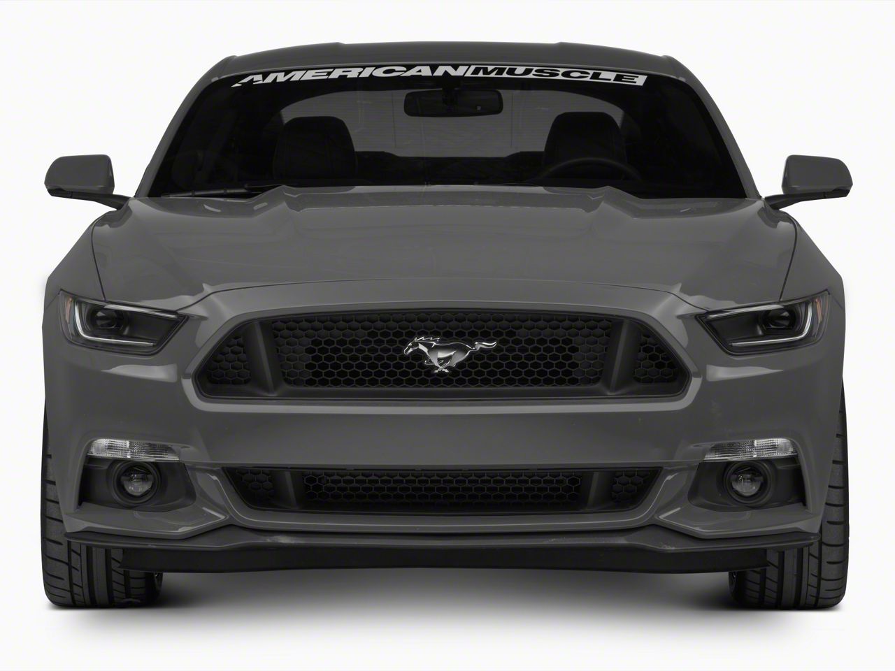 Raxiom Smoked Lens 406011