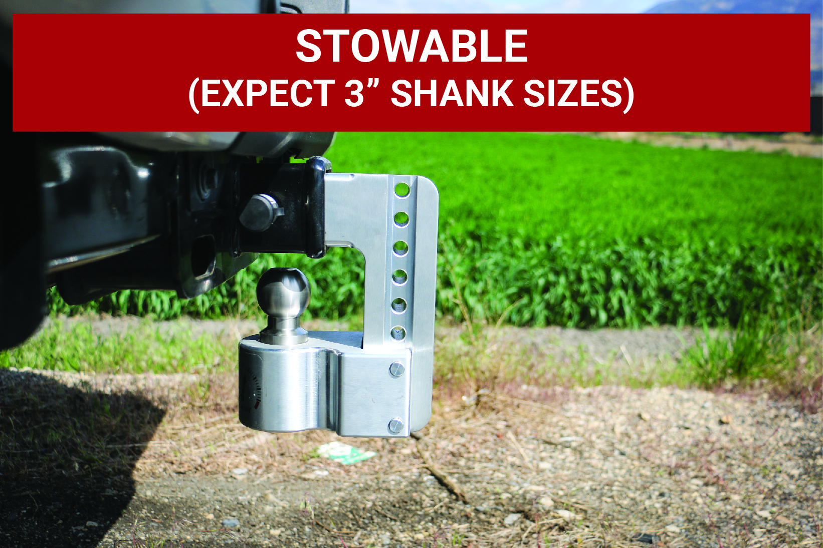 Weigh Safe Weigh Safe Adjustable Drop Hitch - 8" Drop for 2.5" Shank w/Hitch Lock Pin WS8-2.5-KA