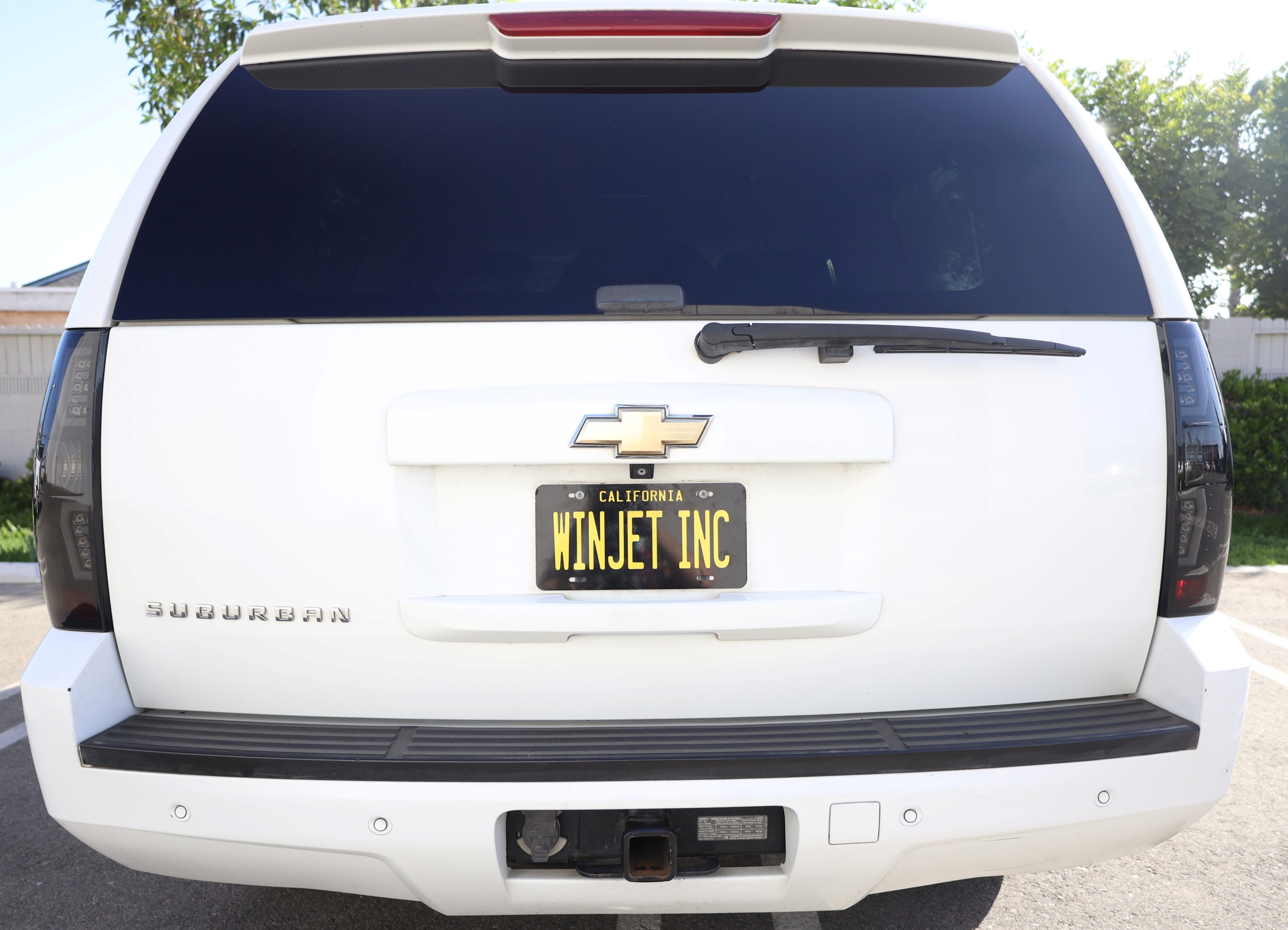 Winjet RENEGADE TAIL LIGHTS CTRNG0663-BS-SQ