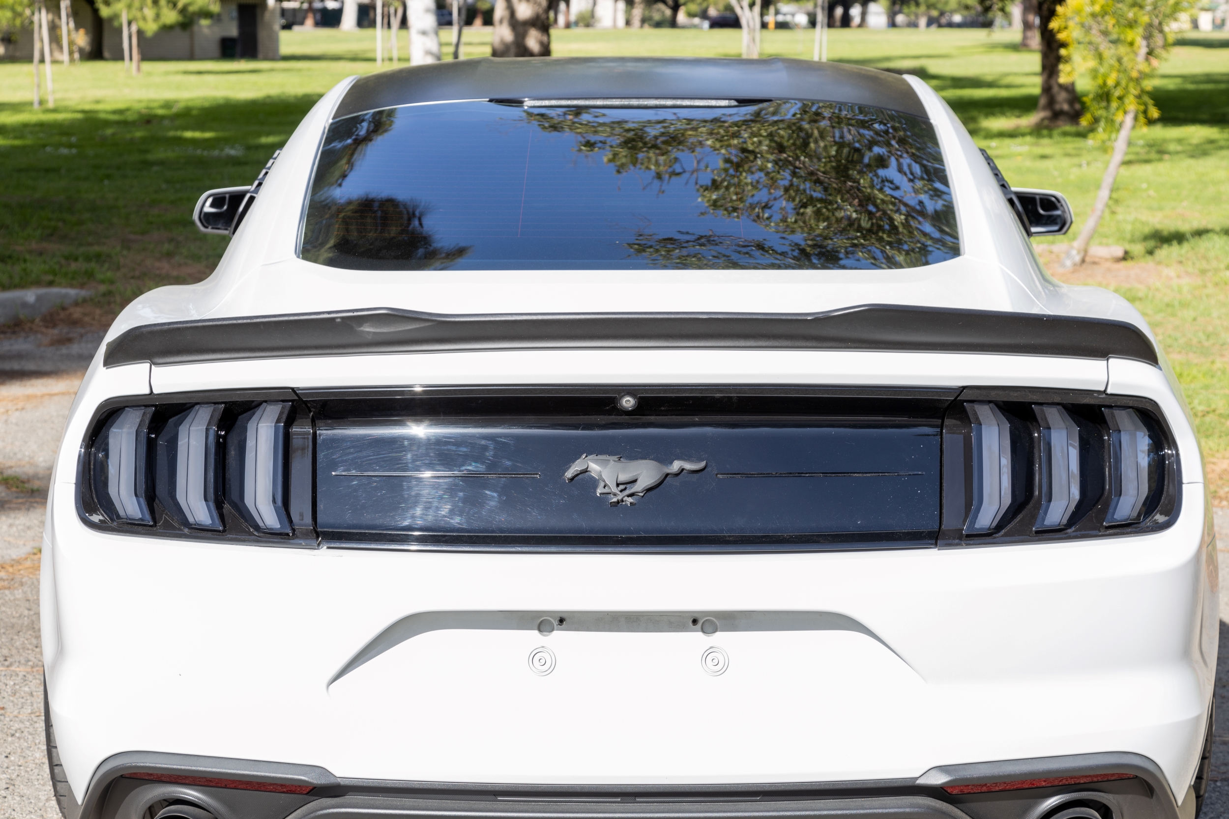 Winjet RENEGADE TAIL LIGHTS CTRNG0680-GBS