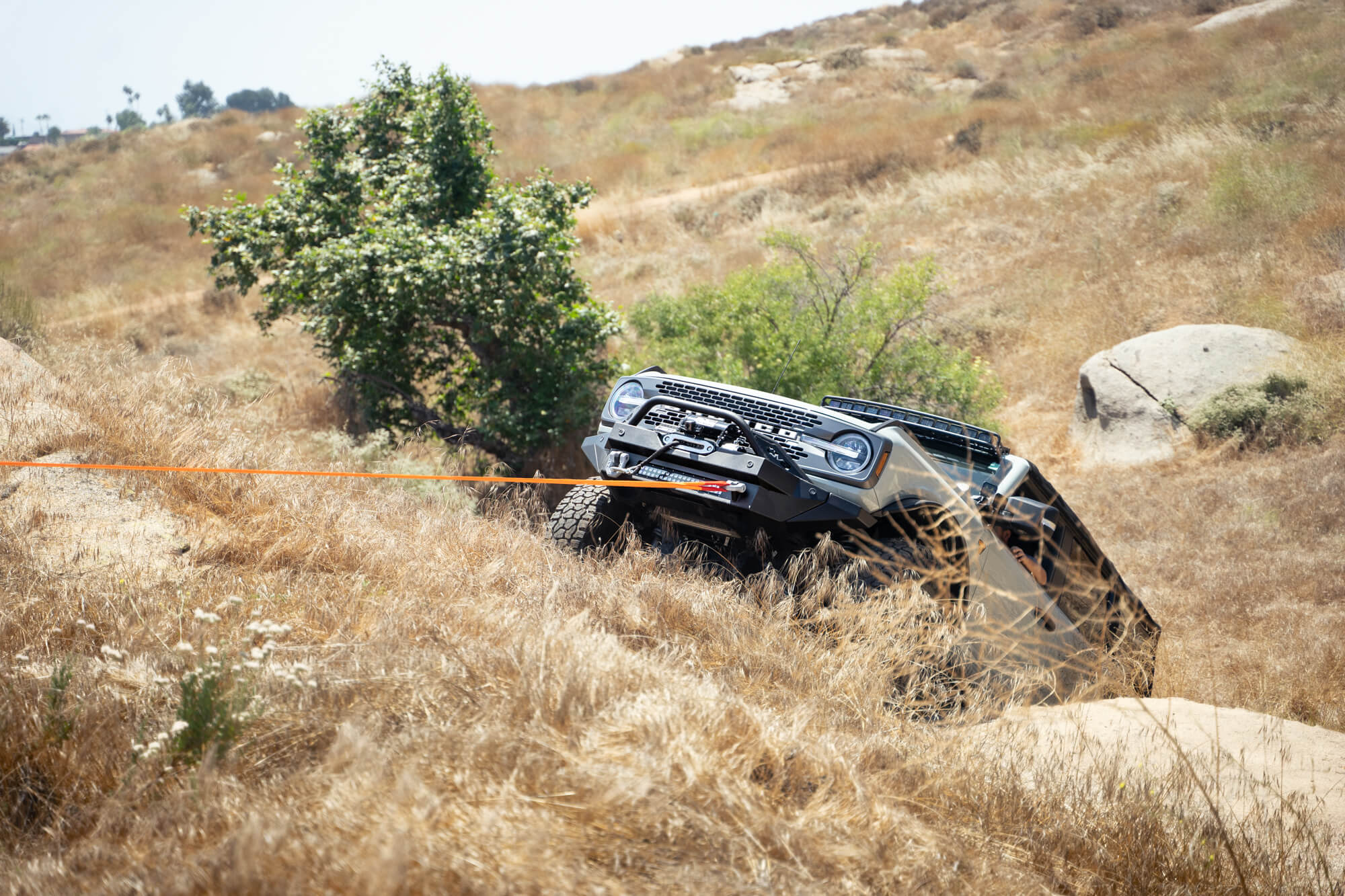 DV8 Offroad Black DV8 Elite Series D-Rings (Pair) UNSK-01BL