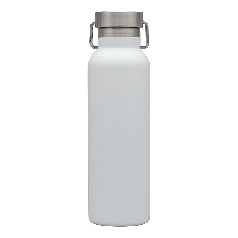 Splendid 22 oz. Double Wall Stainless Steel Bottle 1