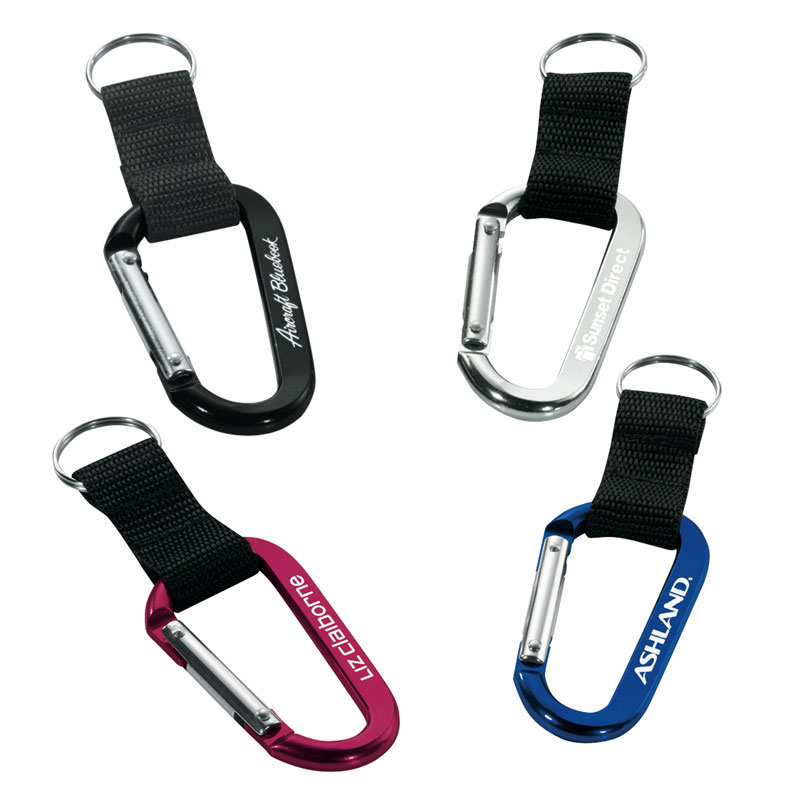 Alta Carabiner Keyring 1