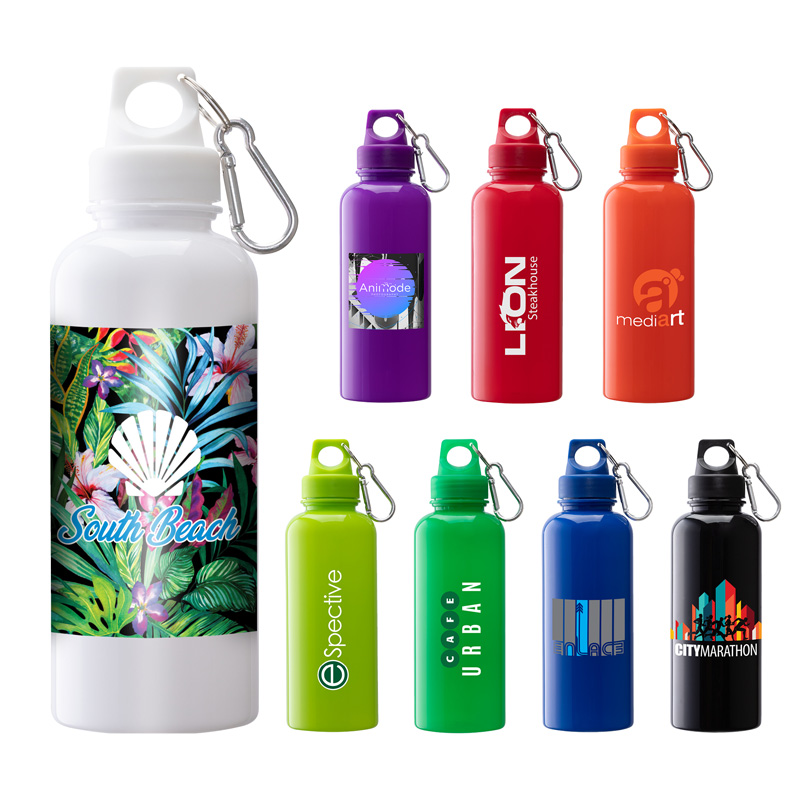 Brio 20 oz. PS Water Bottle w/ Carabiner 1