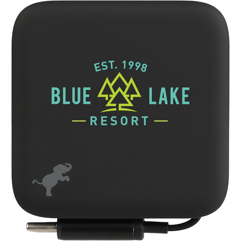 Wally Stretch 35 Wall Charger with cable 1 Wally Stretch 35 Wall Charger with cable 1