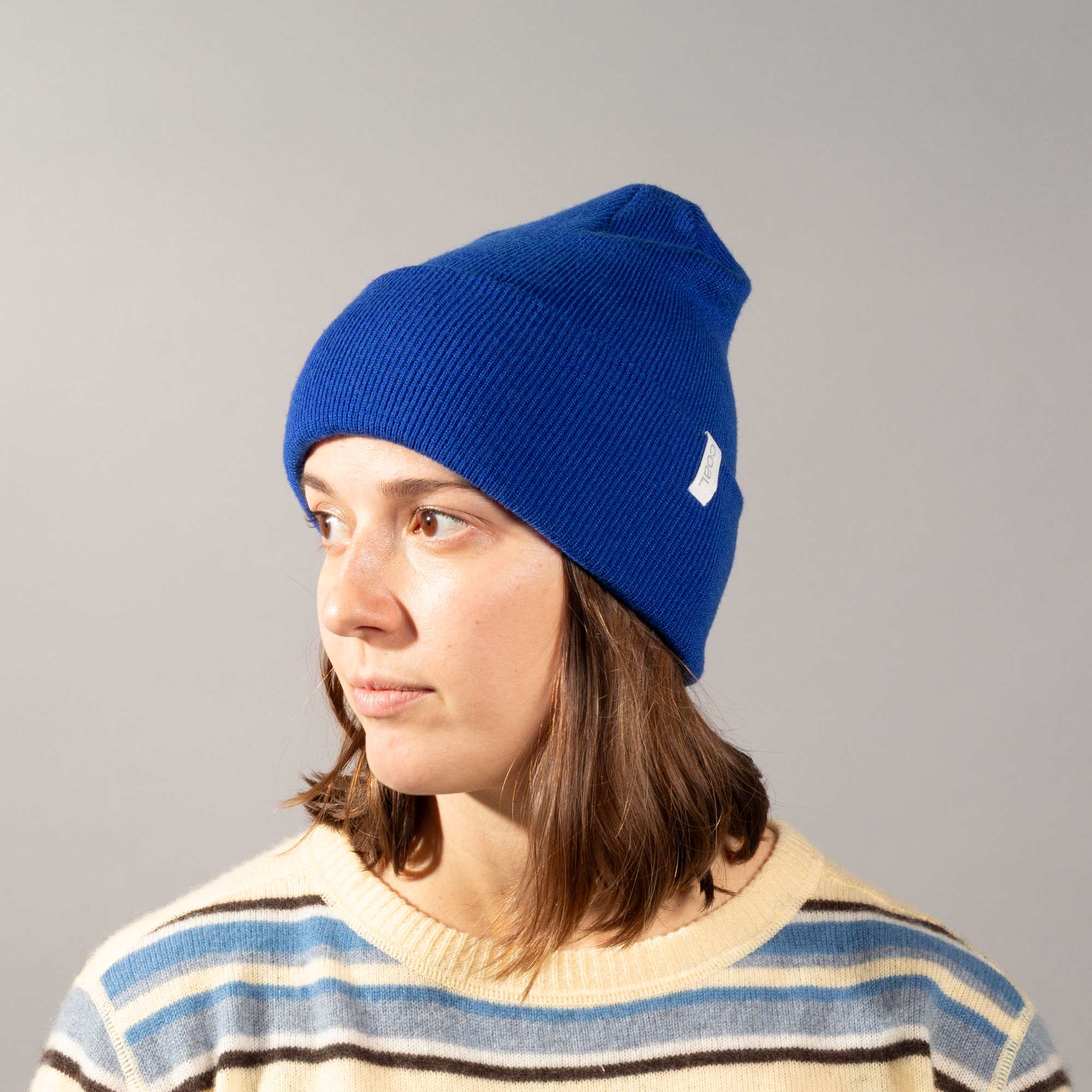 Coal Uniform Knit Beanie 2