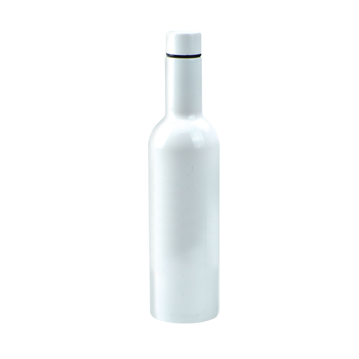 Stainless Steel Wine Bottle 1