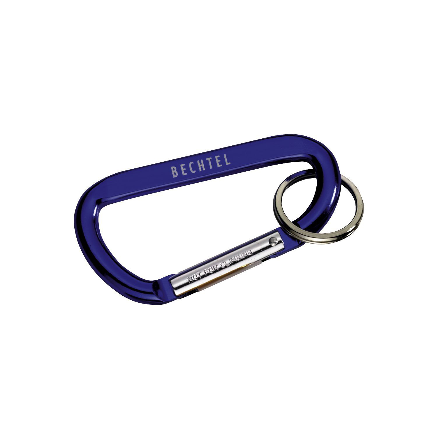 Carabiner with Ring 1