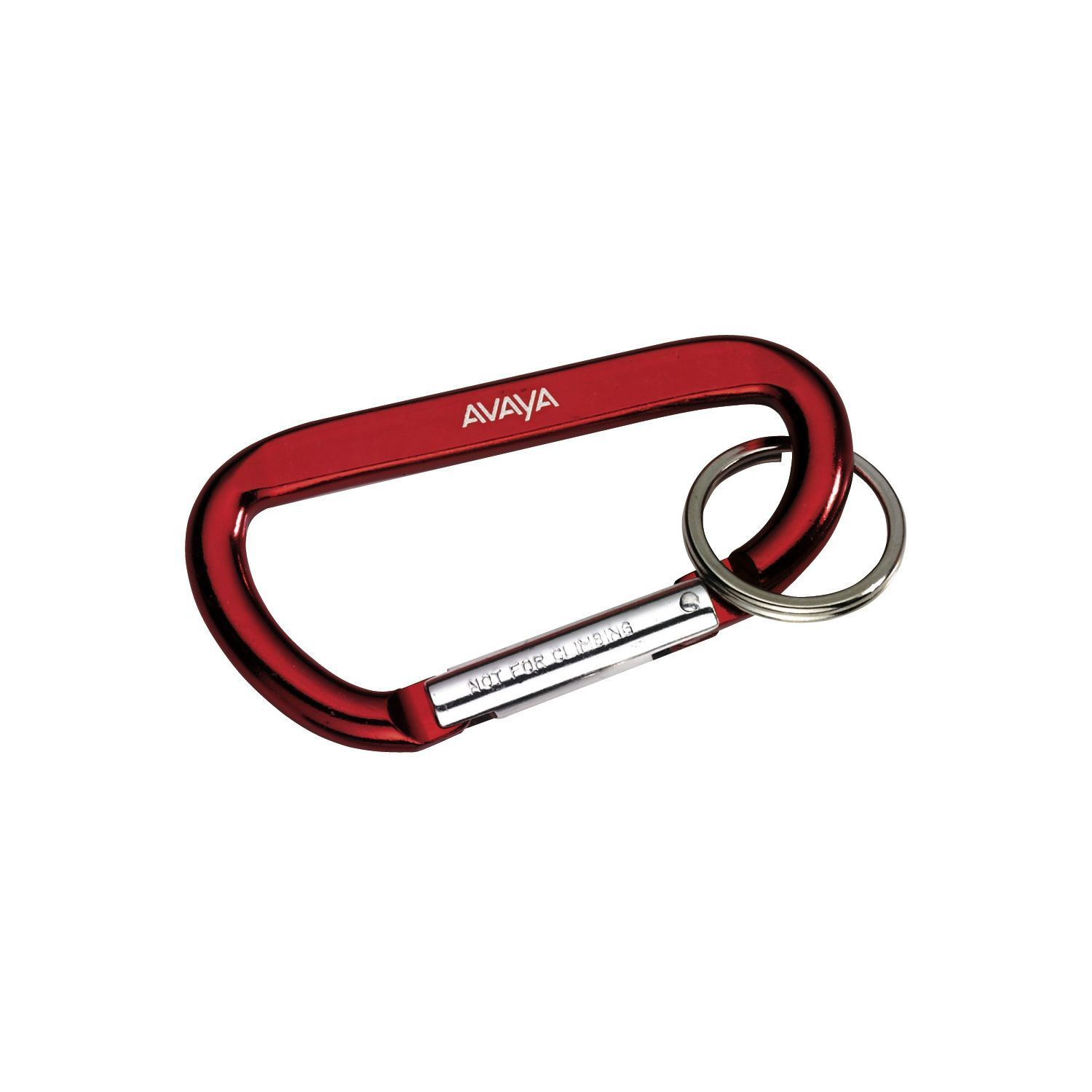 Carabiner with Ring 1