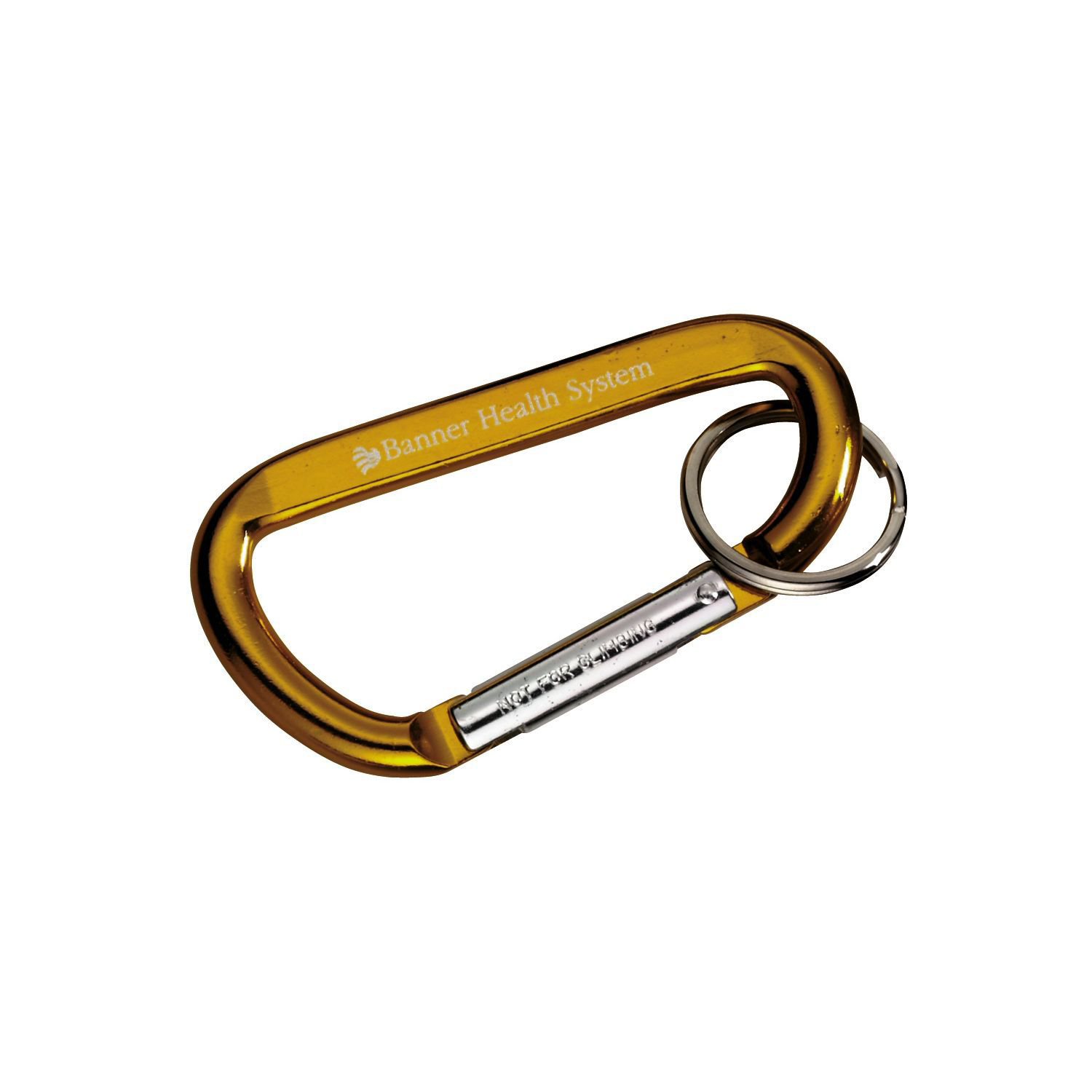 Carabiner with Ring 1