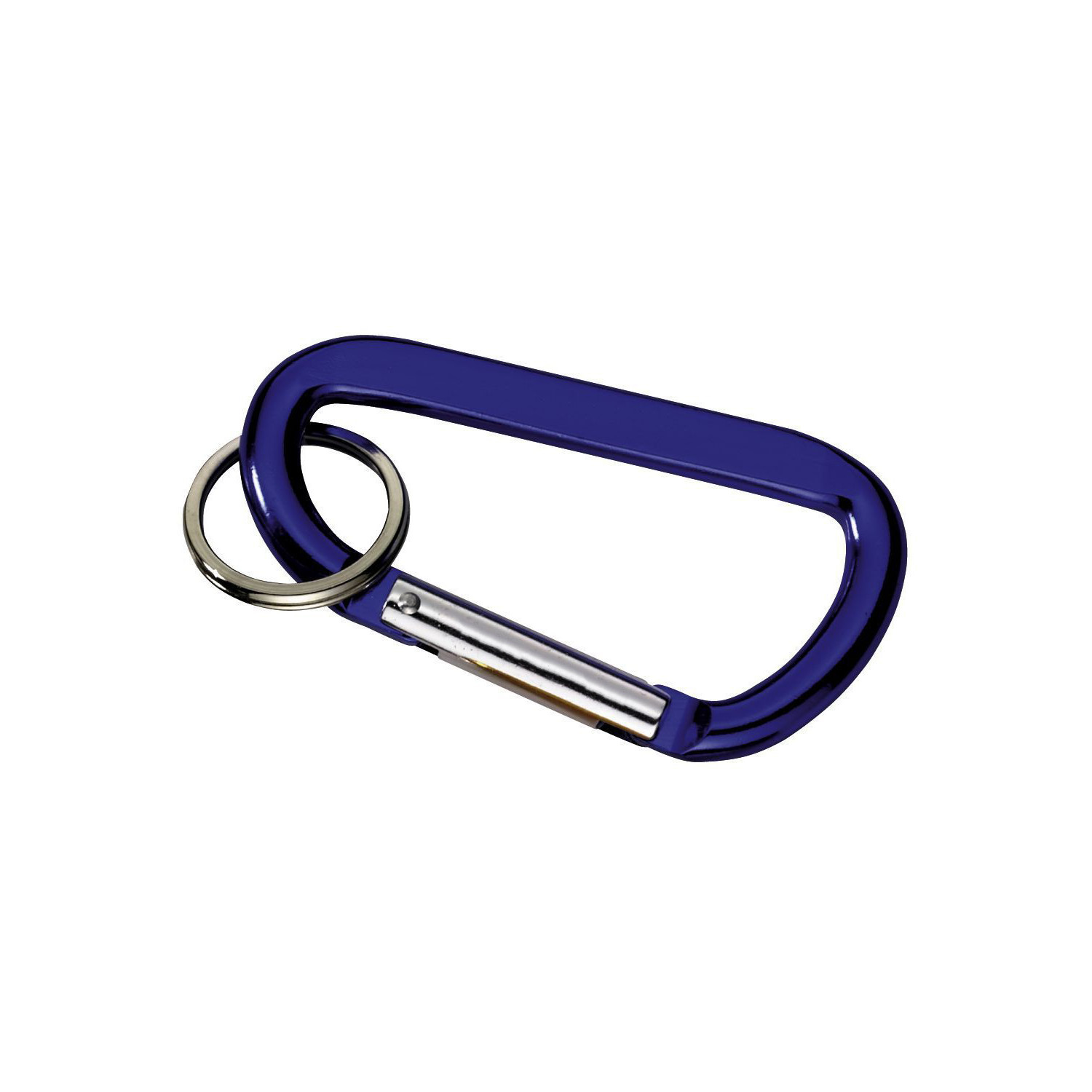 Carabiner with Ring 1