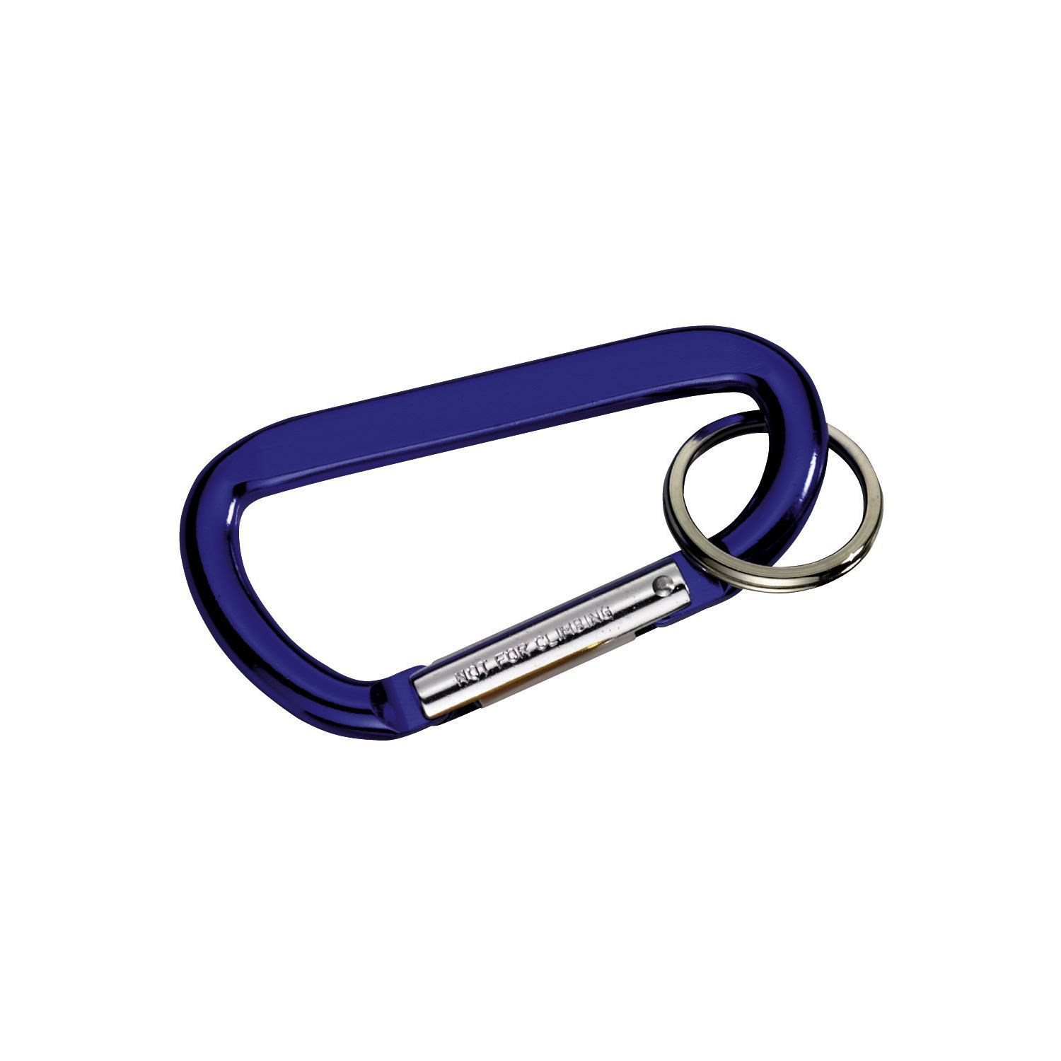 Carabiner with Ring 1