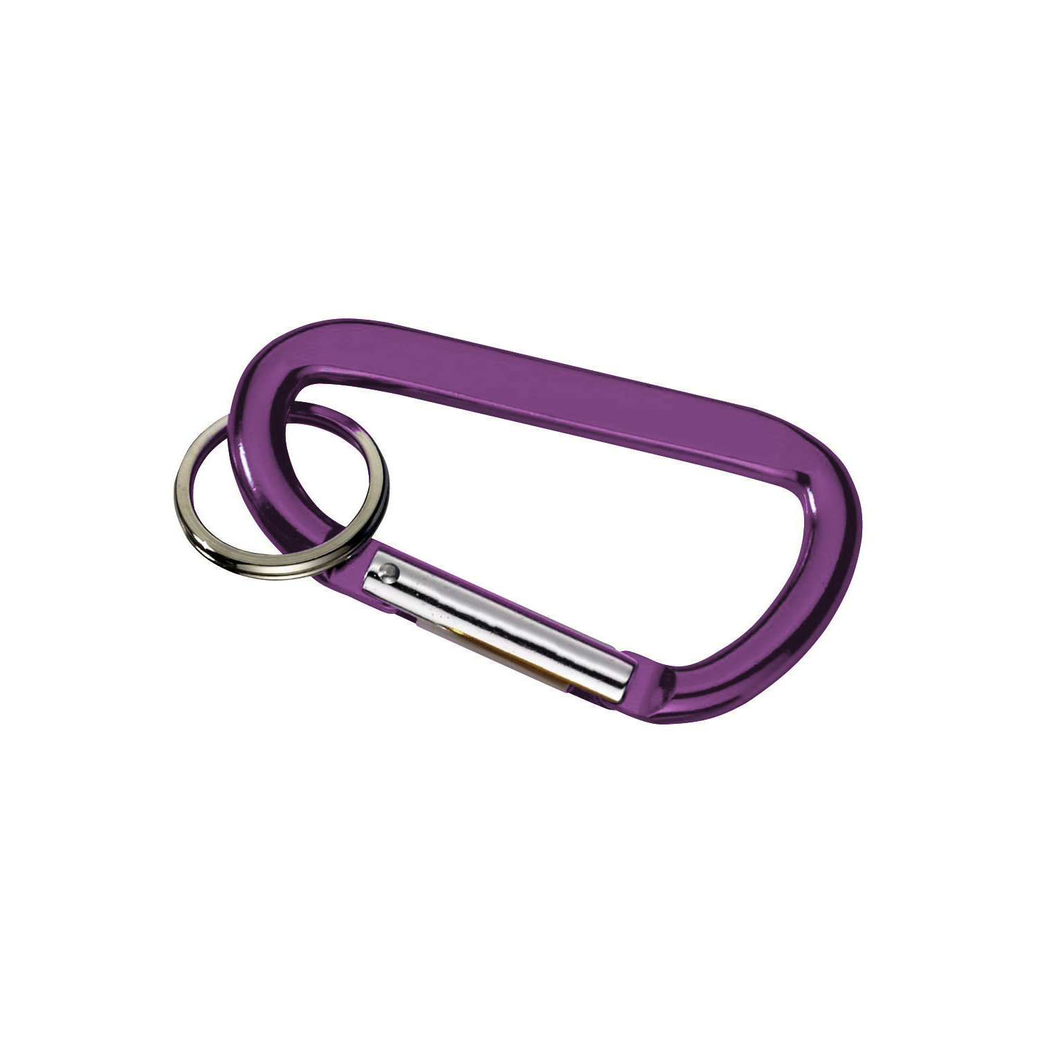 Carabiner with Ring 1