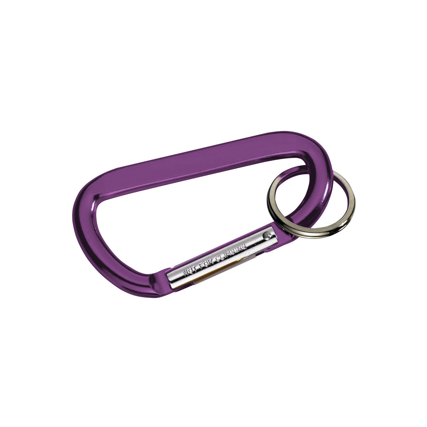 Carabiner with Ring 1