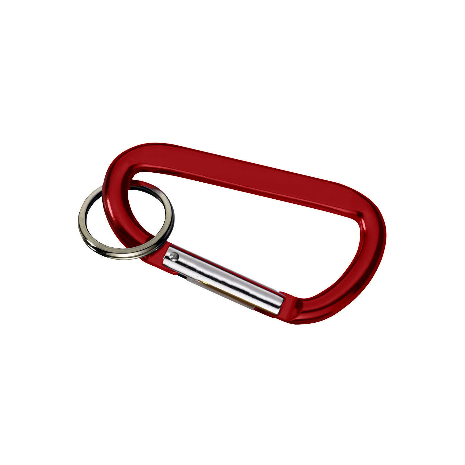 Carabiner with Ring 1