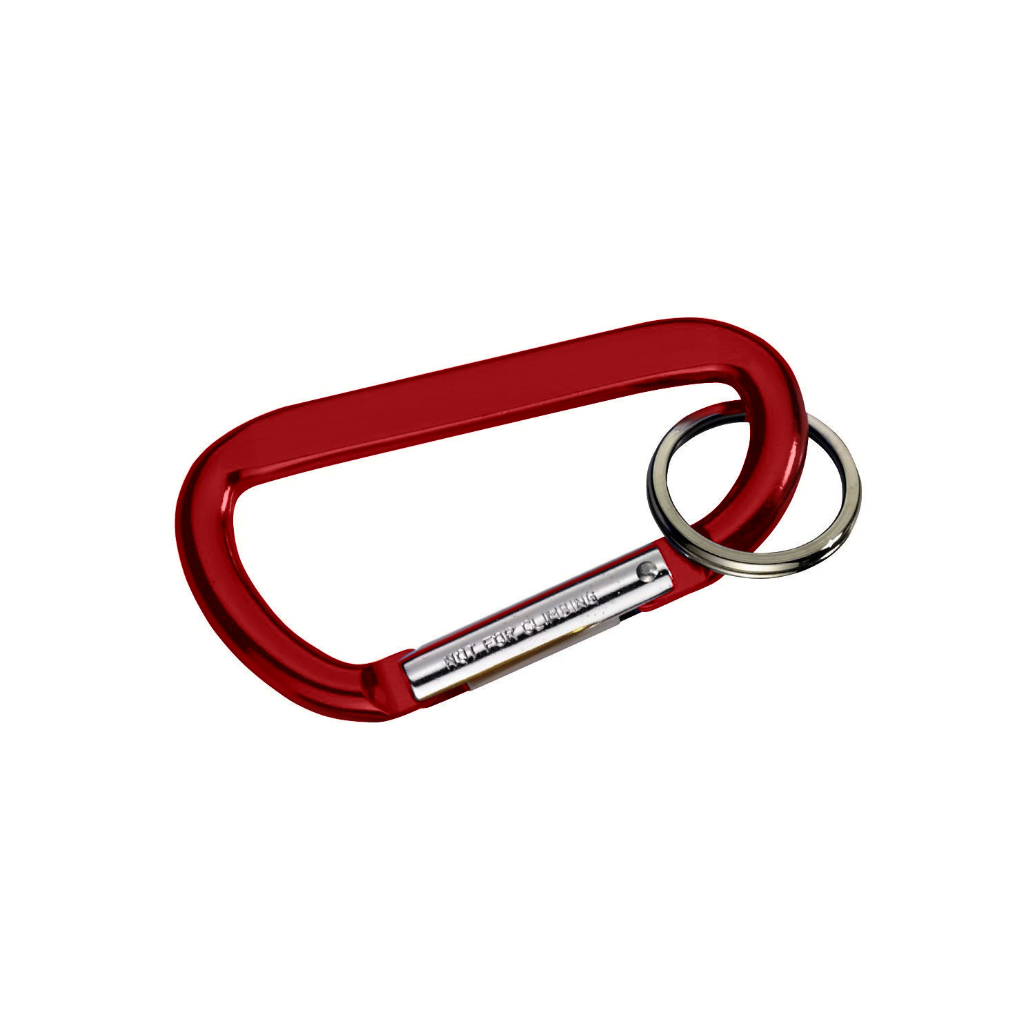 Carabiner with Ring 1