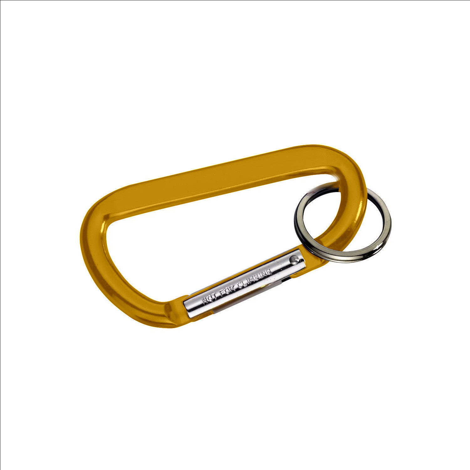 Carabiner with Ring 1