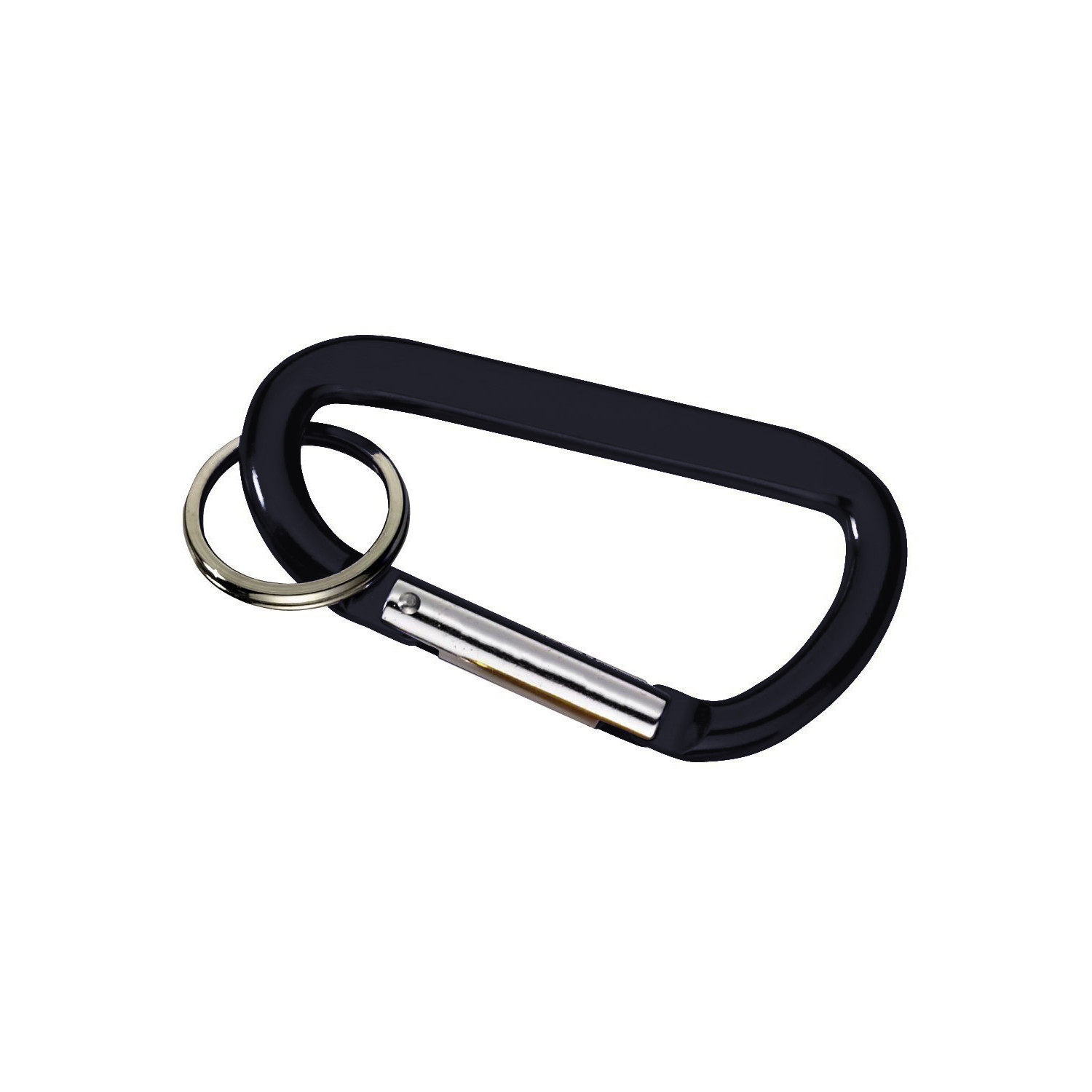 Carabiner with Ring 1