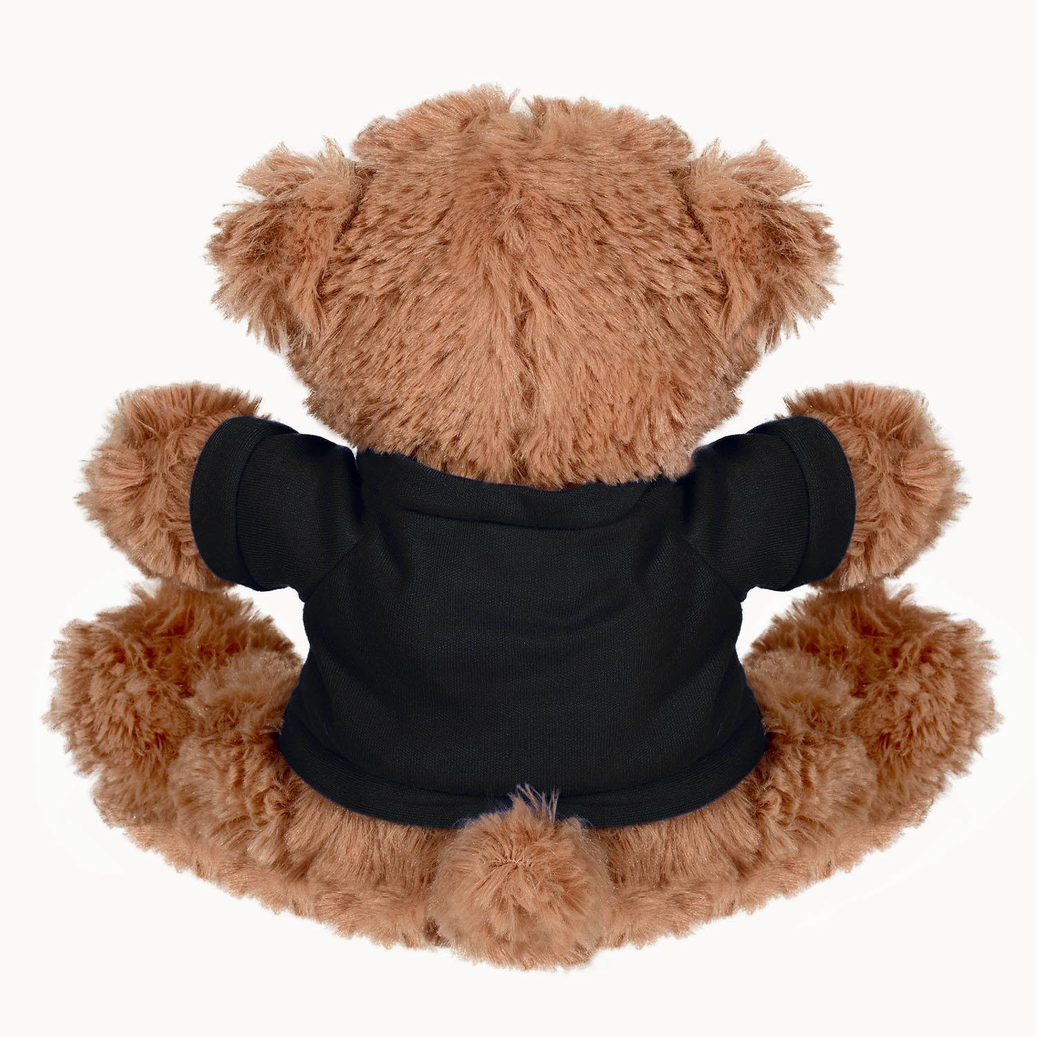 Plush Bear w/ Embroidered Paws and T-Shirt 1