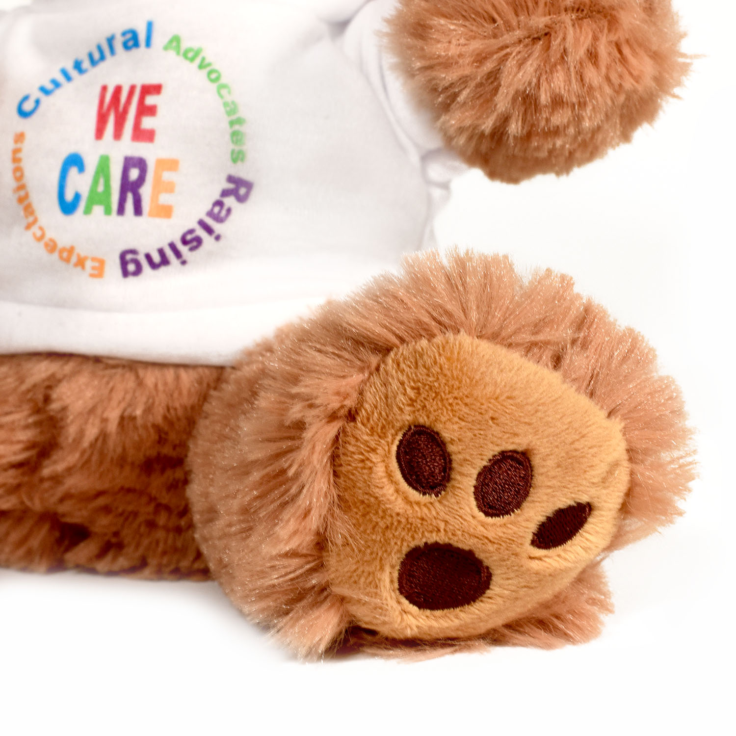 Plush Bear w/ Embroidered Paws and T-Shirt 1