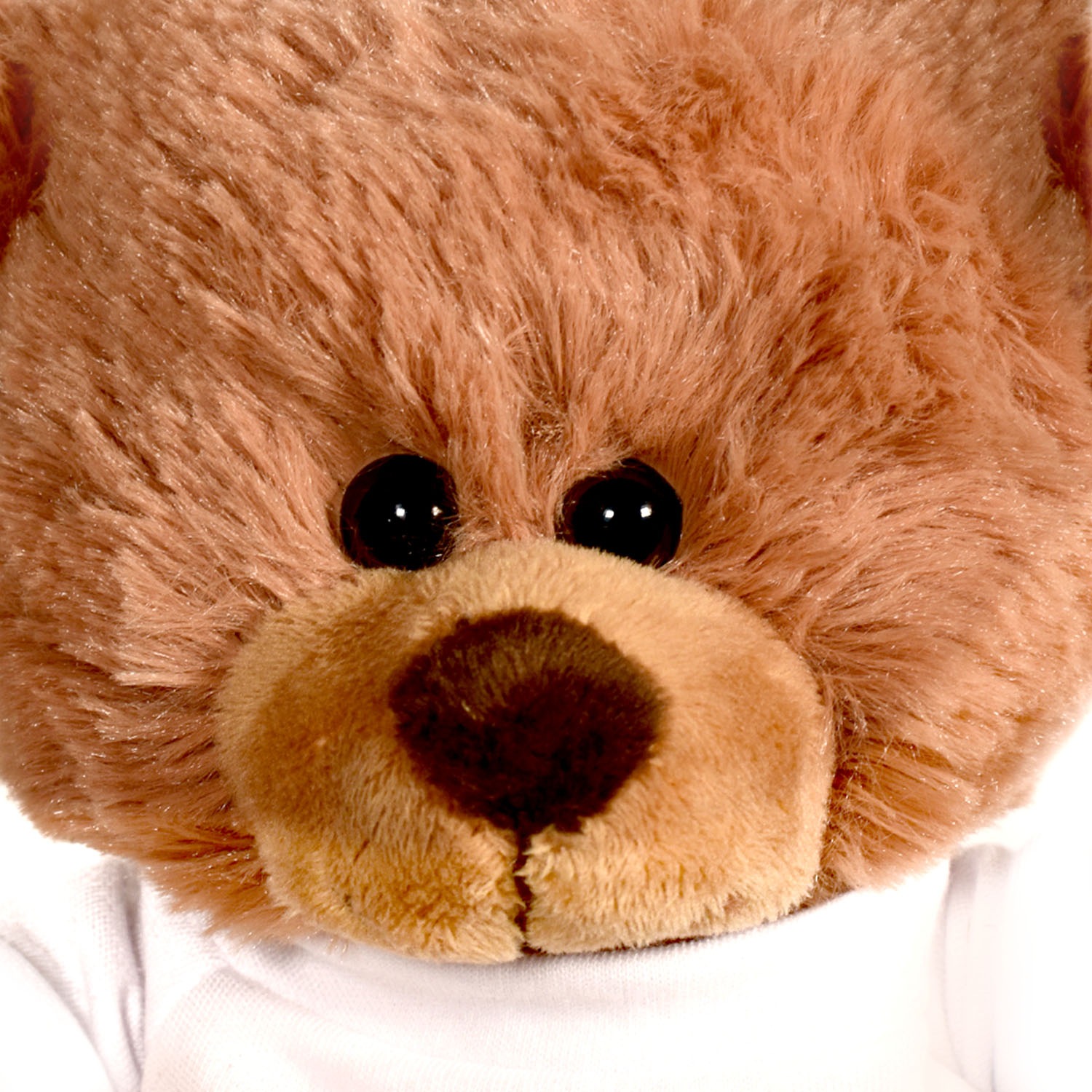 Plush Bear w/ Embroidered Paws and T-Shirt 1