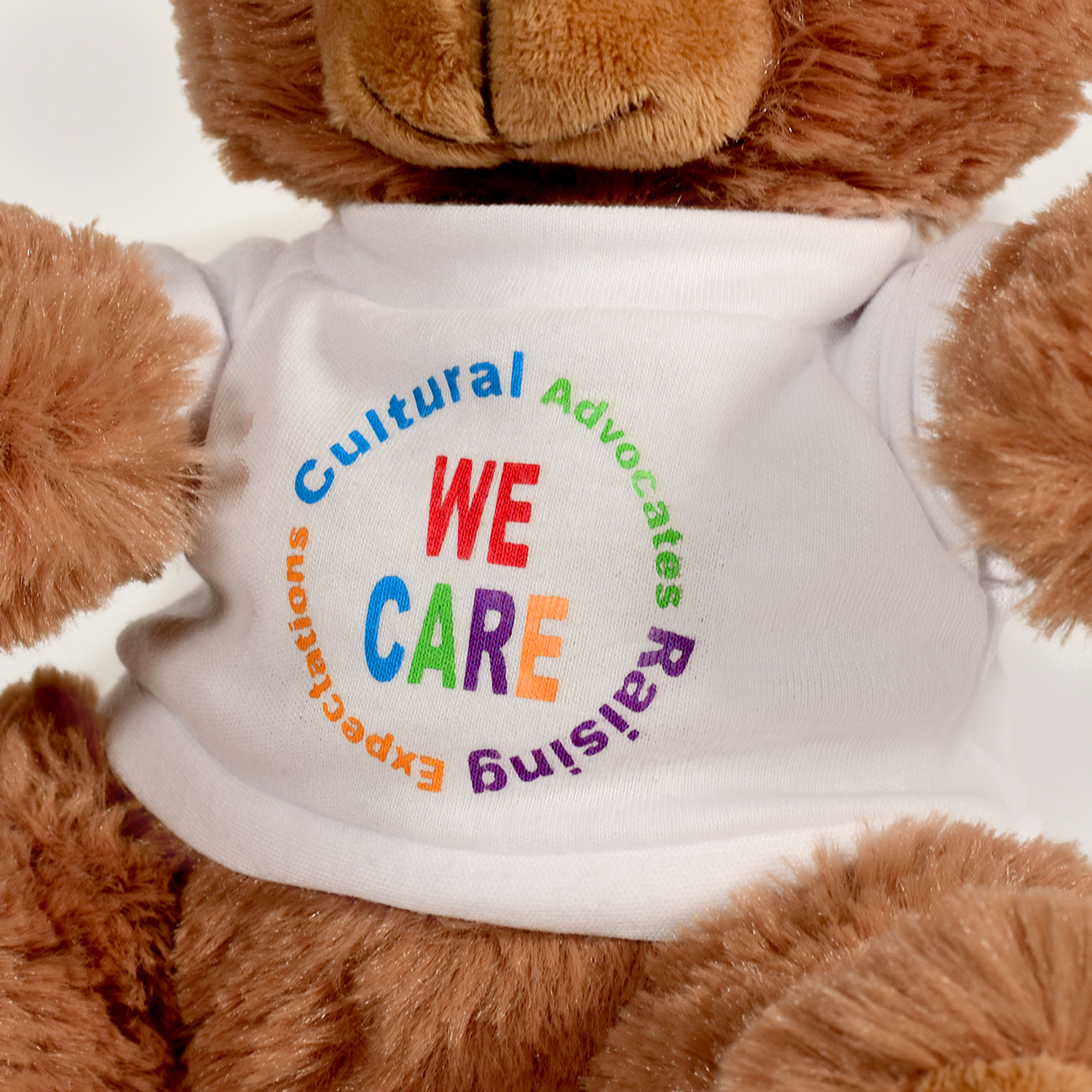 Plush Bear w/ Embroidered Paws and T-Shirt 1