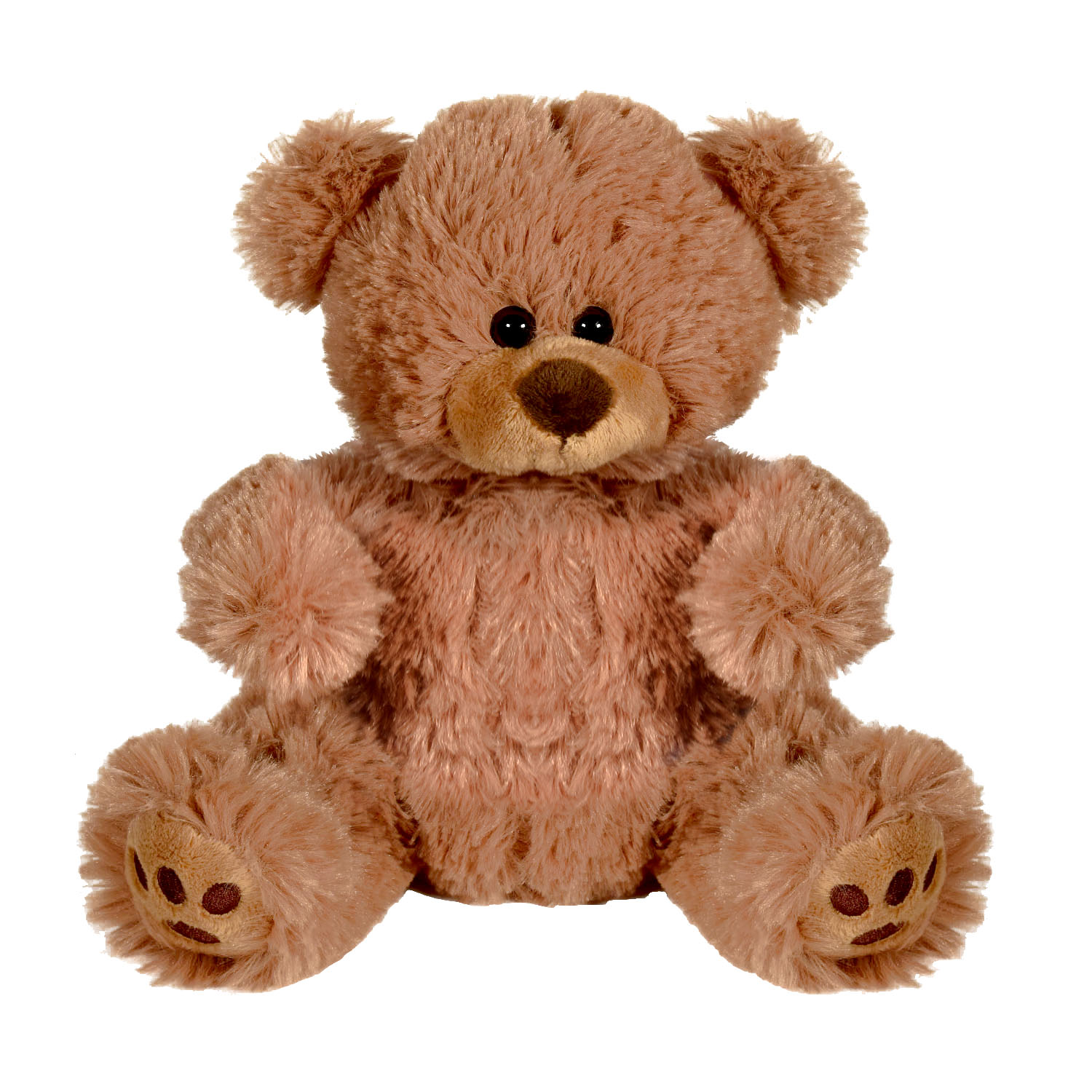 Plush Bear w/ Embroidered Paws and T-Shirt 1