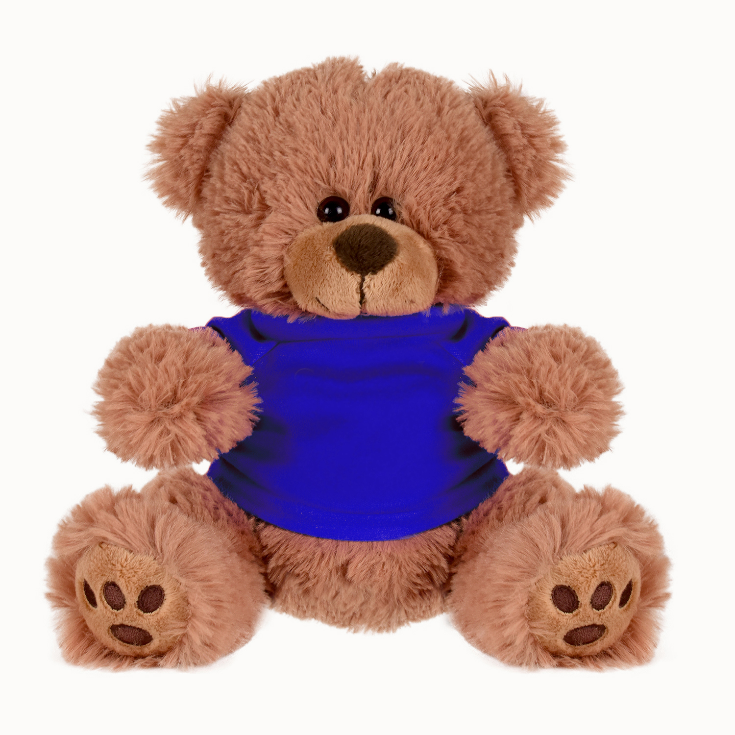 Plush Bear w/ Embroidered Paws and T-Shirt 1