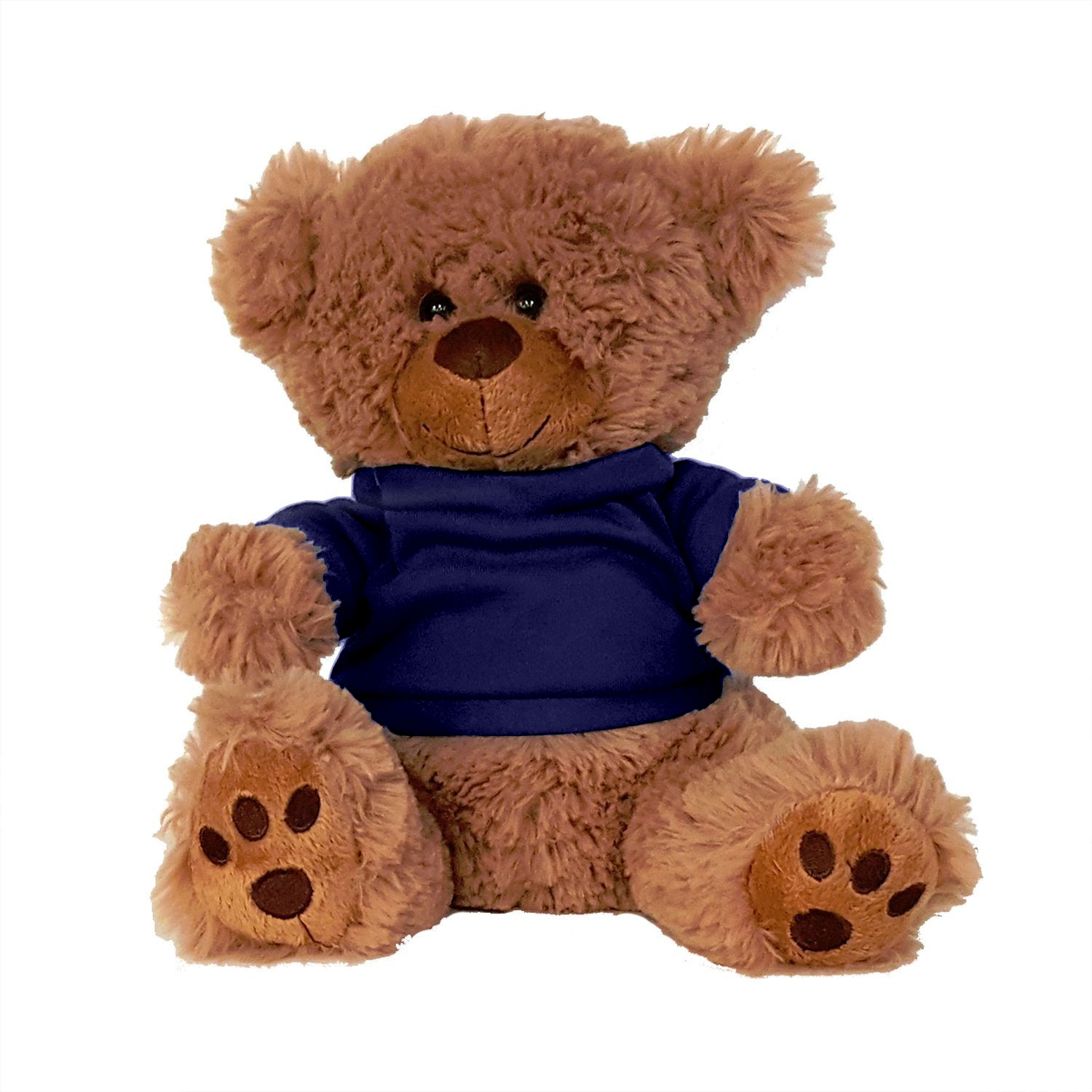 Plush Bear w/ Embroidered Paws and T-Shirt 1