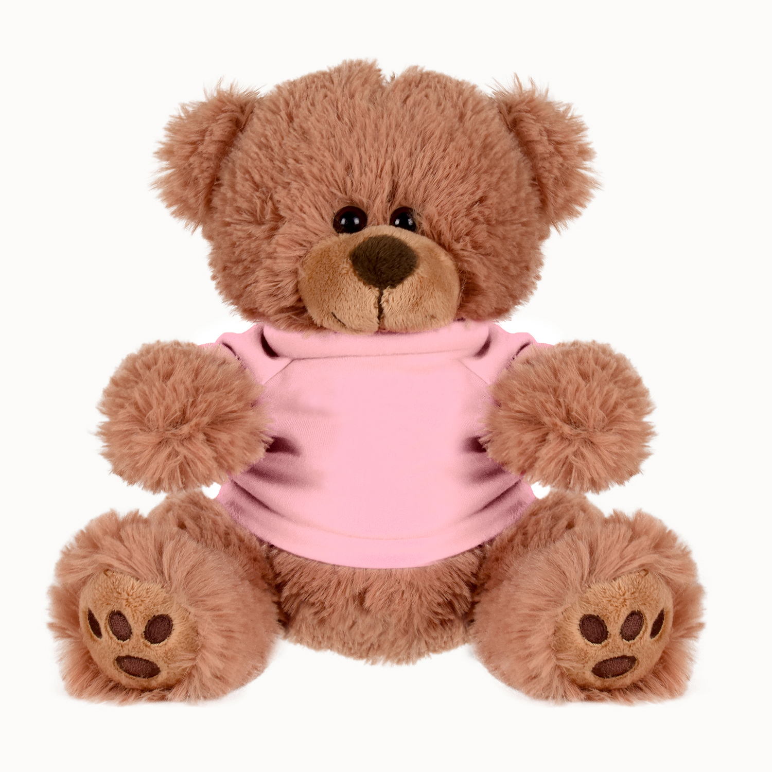 Plush Bear w/ Embroidered Paws and T-Shirt 1