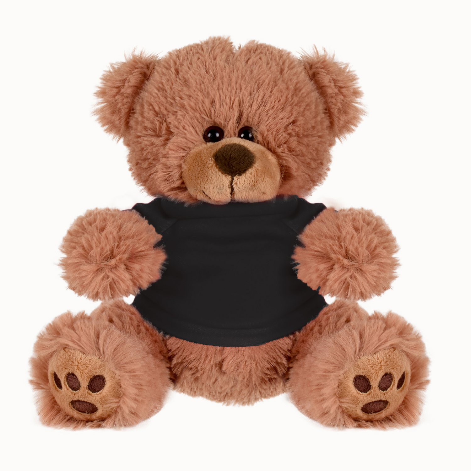 Plush Bear w/ Embroidered Paws and T-Shirt 1