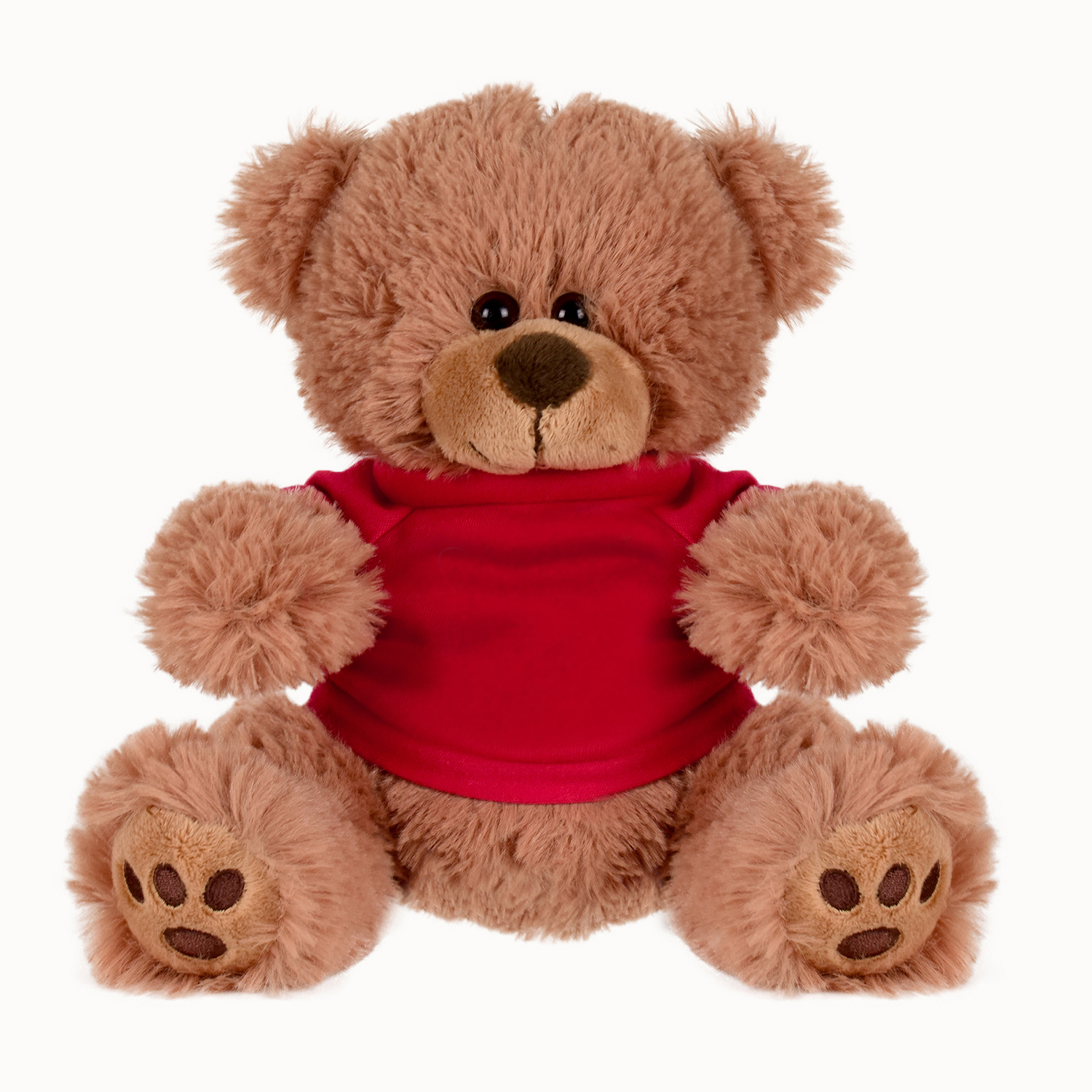 Plush Bear w/ Embroidered Paws and T-Shirt 1