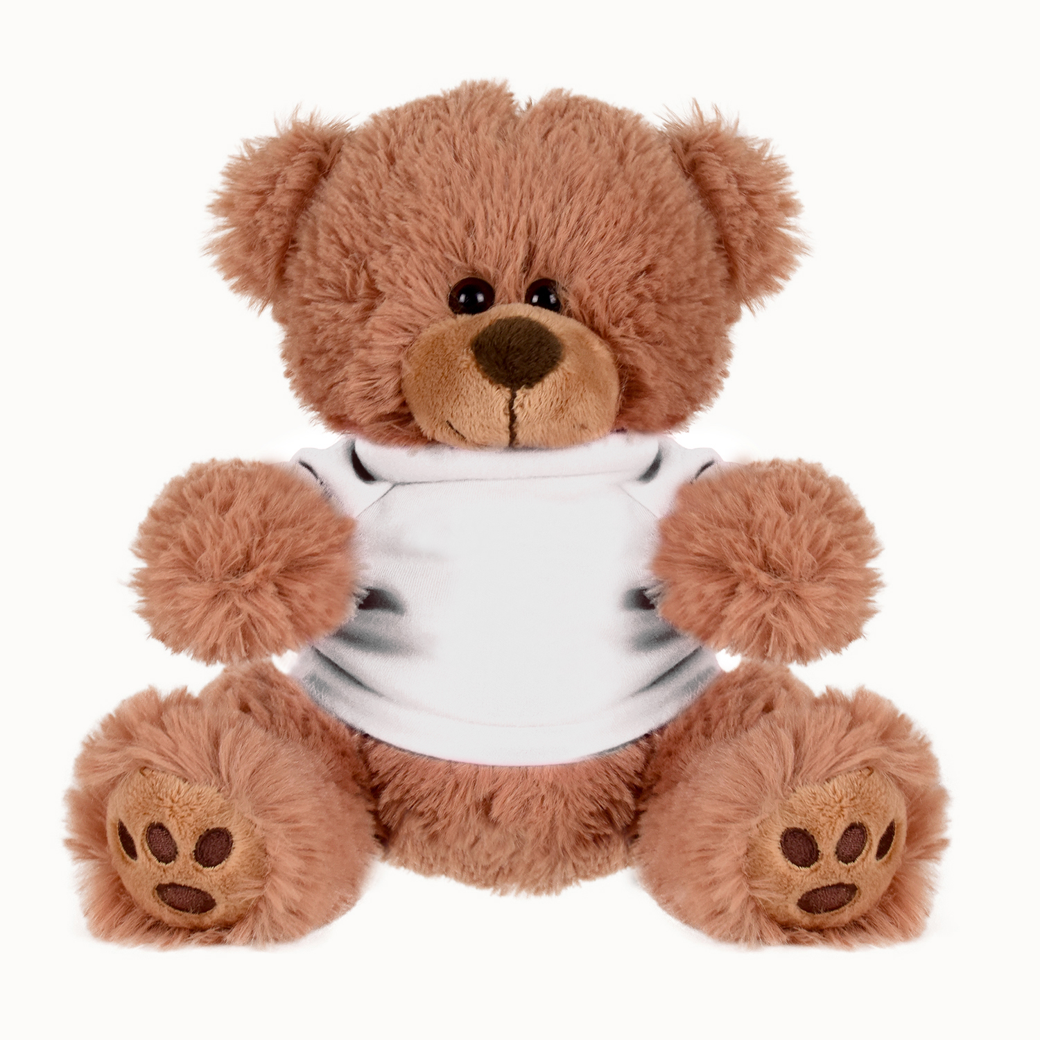 Plush Bear w/ Embroidered Paws and T-Shirt 1