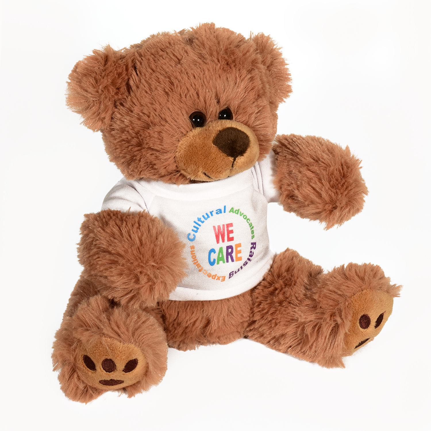 Plush Bear w/ Embroidered Paws and T-Shirt 1