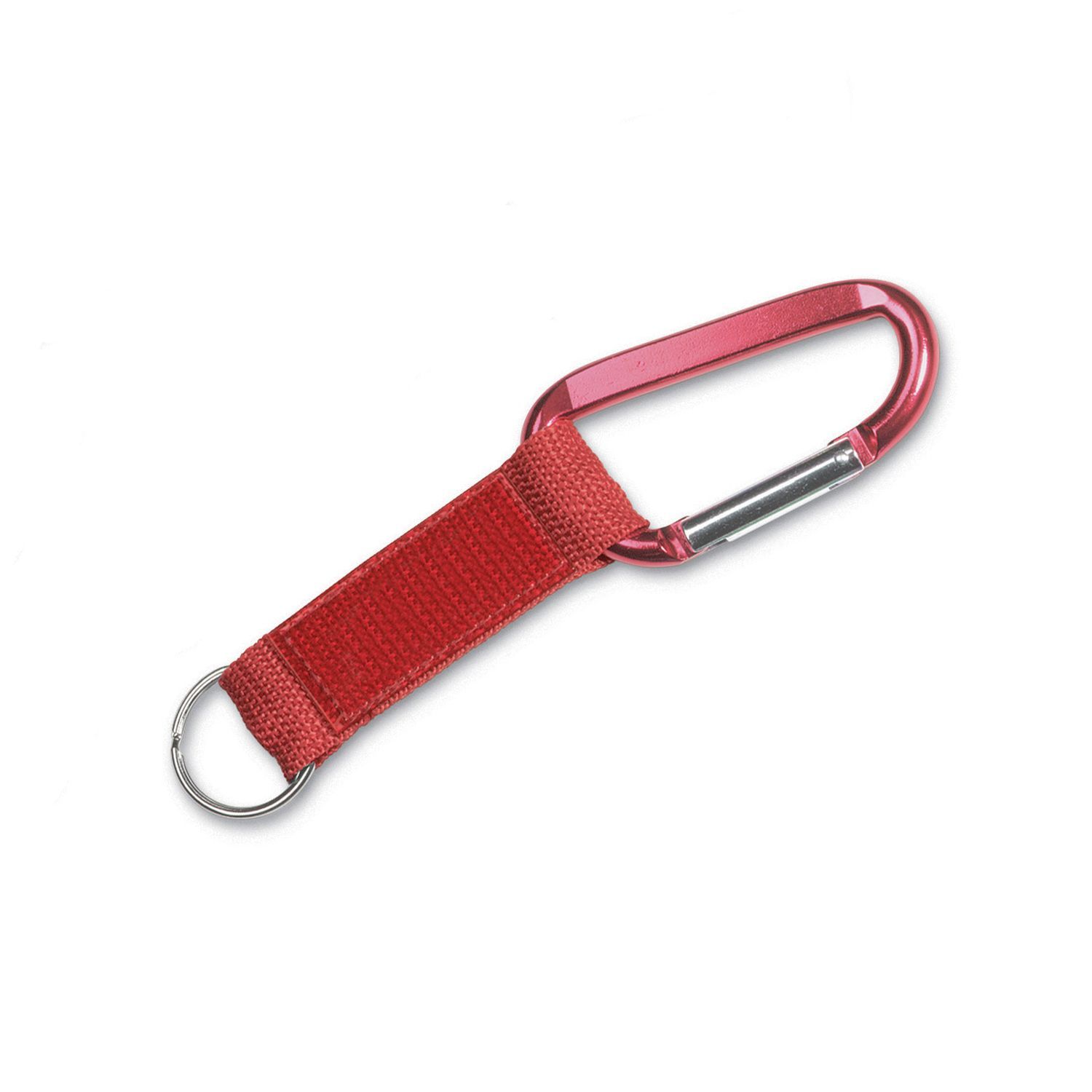 Steel Carabiner Key Tag 1