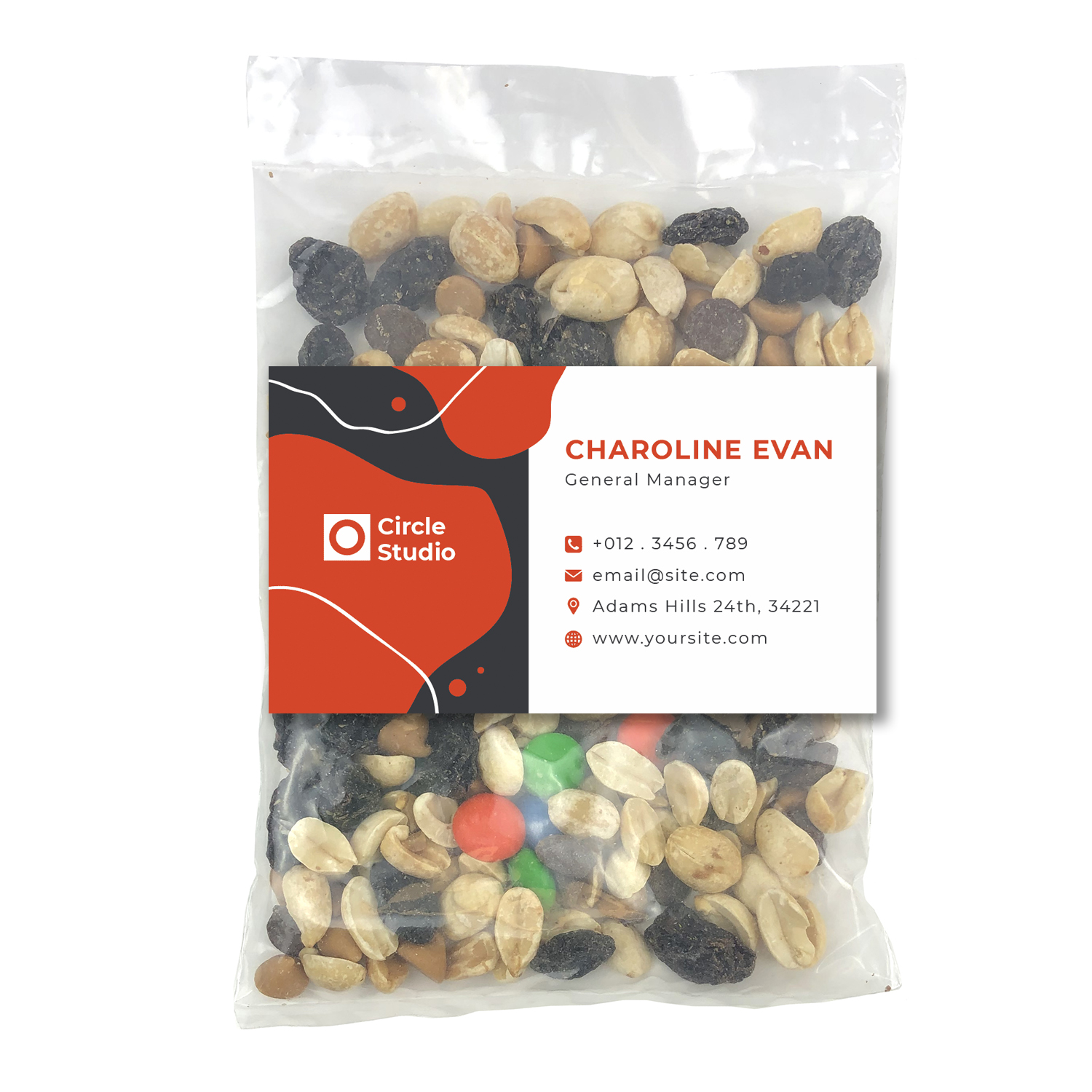 Large Snack Bag with Rectangle Magnet Standard Fill 1