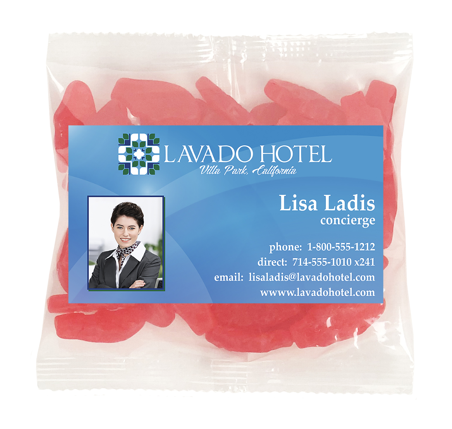 Large Snack Bag with Rectangle Magnet Standard Fill 1