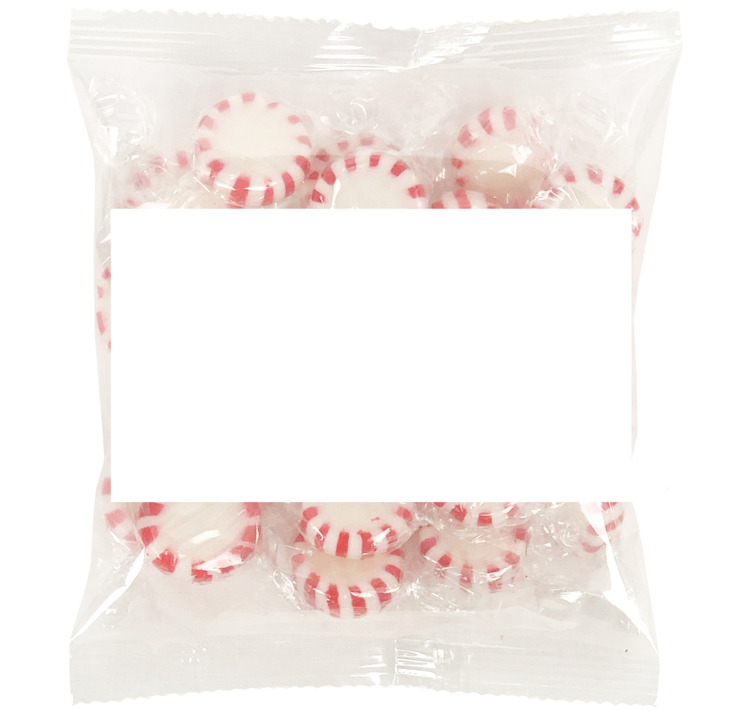 Large Snack Bag with Rectangle Magnet Standard Fill 1