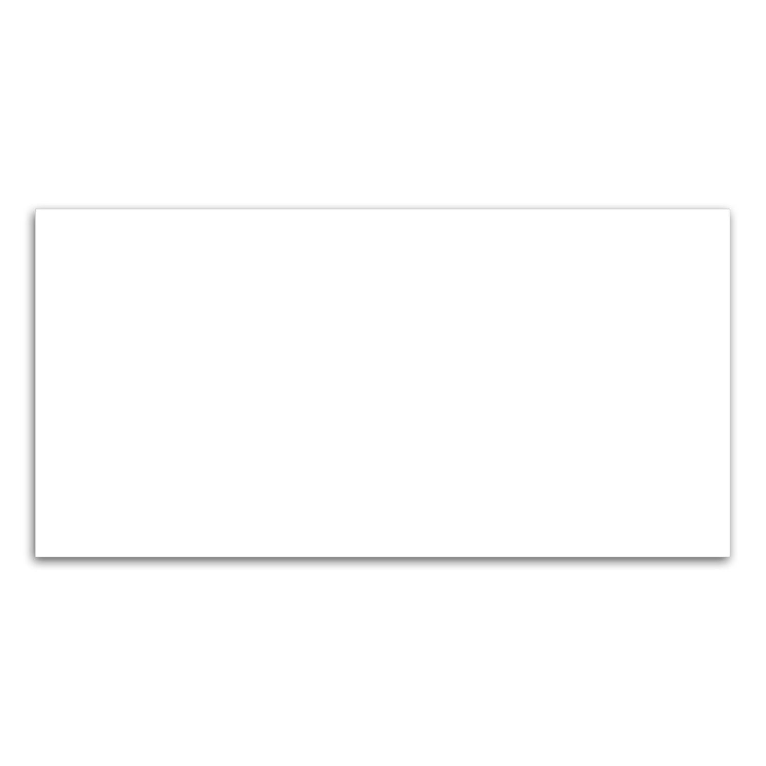 Rectangle Magnet 2 x 4 1