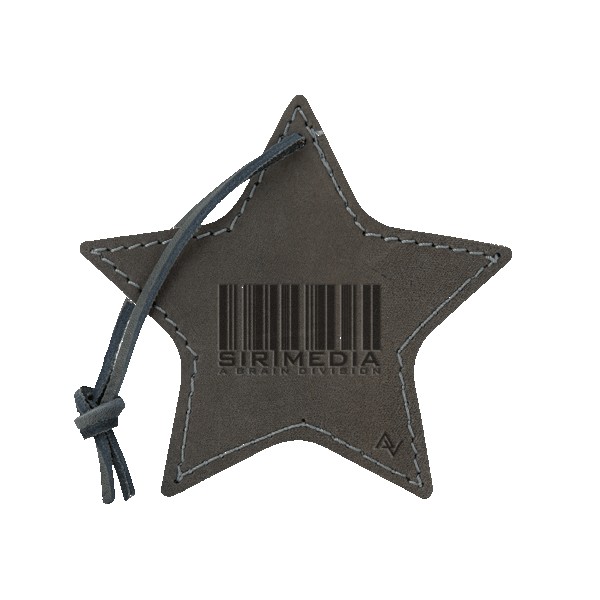 Stella Leather Star Ornament 1