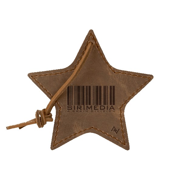 Stella Leather Star Ornament 1