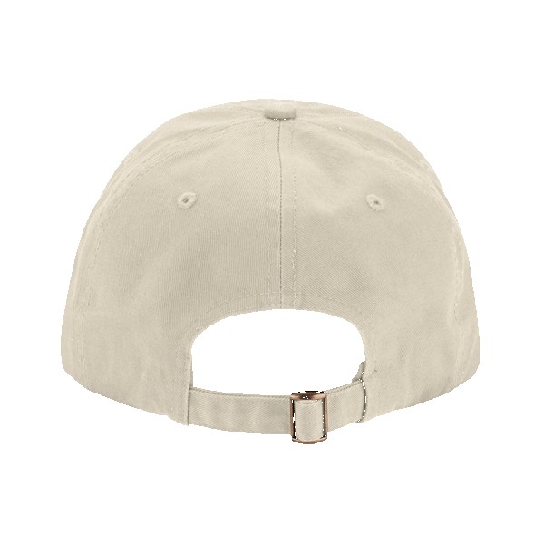 Basecamp Midway Cap 1