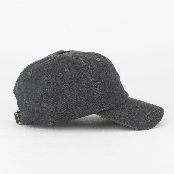 Basecamp Midway Cap 1