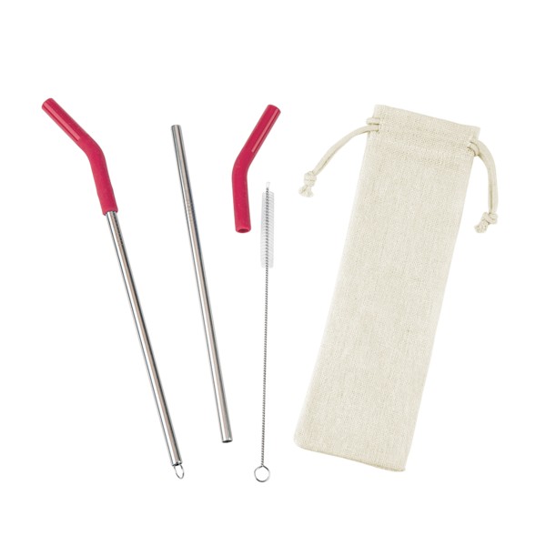 Reusable Stainless Steel Two Straw Set 1