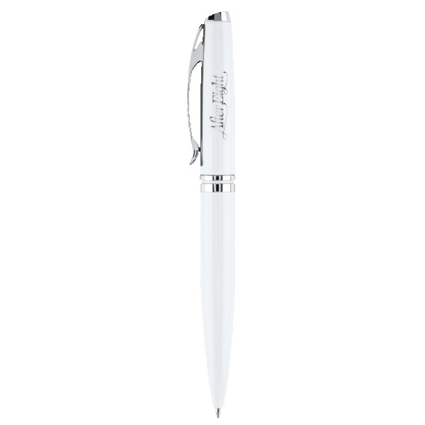 Brilliant Stainless Steel Ballpoint 1