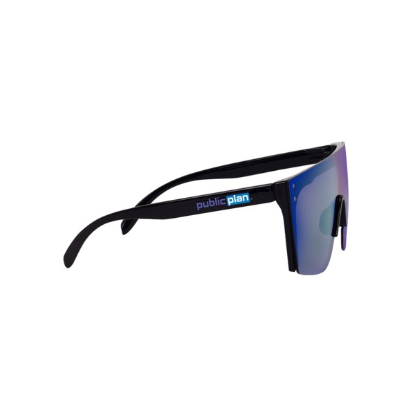Cobra Sunglasses 1